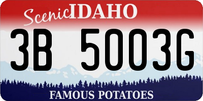 ID license plate 3B5003G