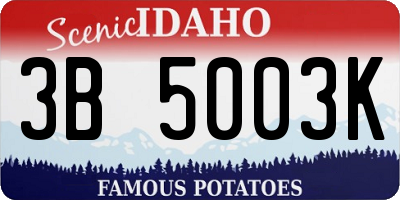 ID license plate 3B5003K