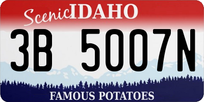 ID license plate 3B5007N