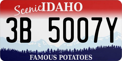 ID license plate 3B5007Y