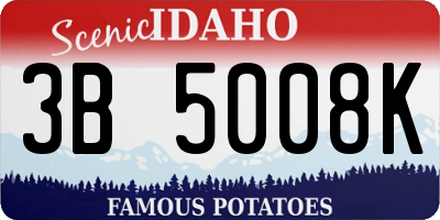 ID license plate 3B5008K