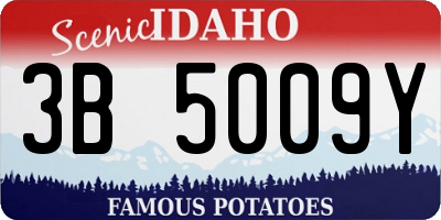 ID license plate 3B5009Y