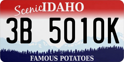 ID license plate 3B5010K