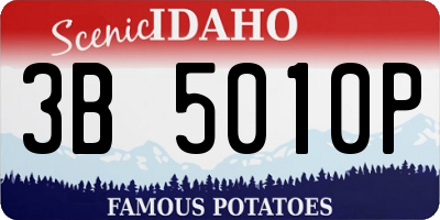 ID license plate 3B5010P