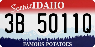 ID license plate 3B5011Q