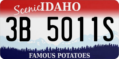 ID license plate 3B5011S