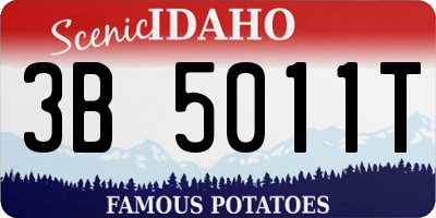ID license plate 3B5011T