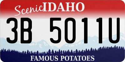 ID license plate 3B5011U