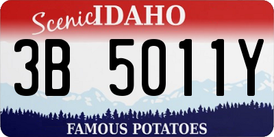 ID license plate 3B5011Y