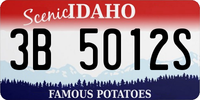 ID license plate 3B5012S