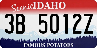 ID license plate 3B5012Z