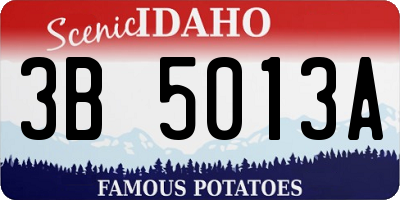 ID license plate 3B5013A