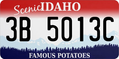 ID license plate 3B5013C