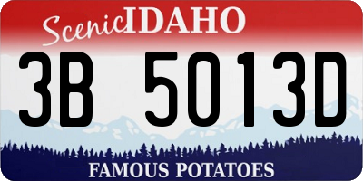 ID license plate 3B5013D