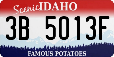 ID license plate 3B5013F