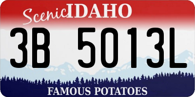 ID license plate 3B5013L