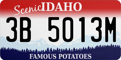 ID license plate 3B5013M