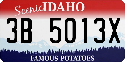 ID license plate 3B5013X