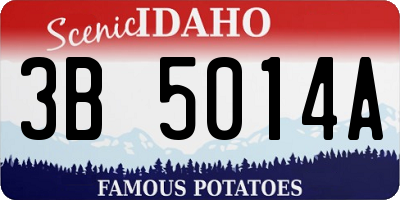 ID license plate 3B5014A