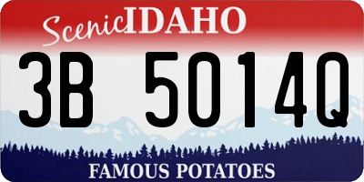 ID license plate 3B5014Q