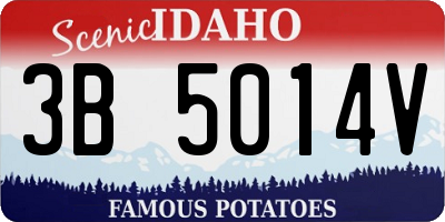 ID license plate 3B5014V