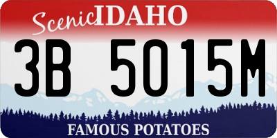 ID license plate 3B5015M