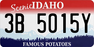 ID license plate 3B5015Y