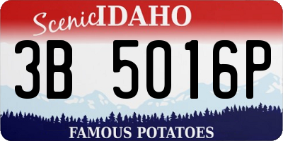 ID license plate 3B5016P
