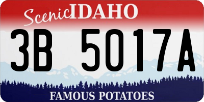 ID license plate 3B5017A