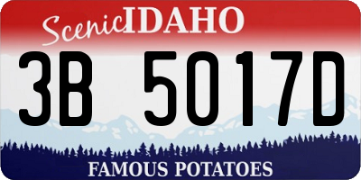 ID license plate 3B5017D