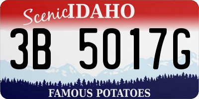 ID license plate 3B5017G