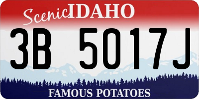 ID license plate 3B5017J