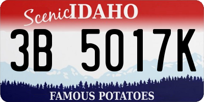 ID license plate 3B5017K