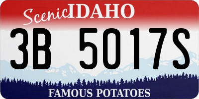 ID license plate 3B5017S