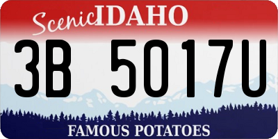 ID license plate 3B5017U