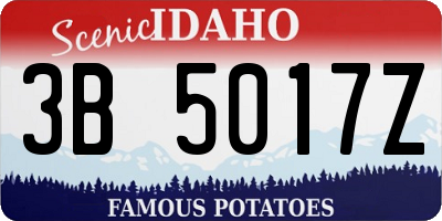 ID license plate 3B5017Z