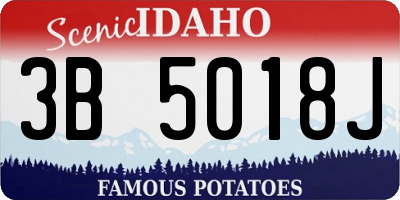 ID license plate 3B5018J