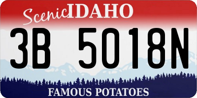 ID license plate 3B5018N