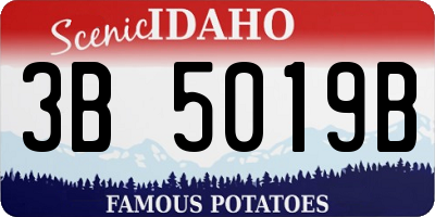 ID license plate 3B5019B