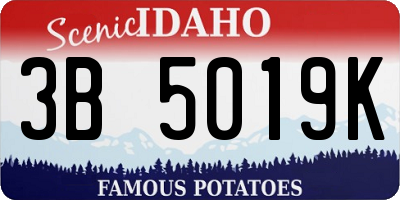 ID license plate 3B5019K