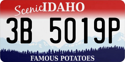 ID license plate 3B5019P