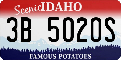 ID license plate 3B5020S