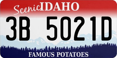 ID license plate 3B5021D
