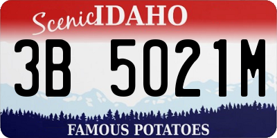 ID license plate 3B5021M