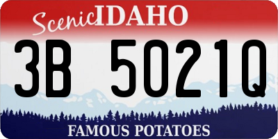 ID license plate 3B5021Q