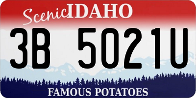 ID license plate 3B5021U