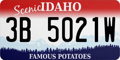 ID license plate 3B5021W