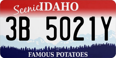 ID license plate 3B5021Y