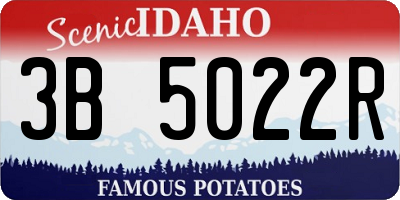 ID license plate 3B5022R