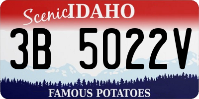 ID license plate 3B5022V